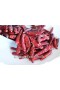 Chillies ganz, kräftig rot, 4-7cm