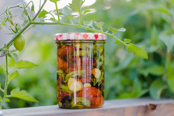 Getrocknete Tomaten in Olivenöl einlegen: selbstgemacht!